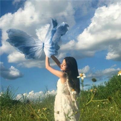 后宫开挂人生
